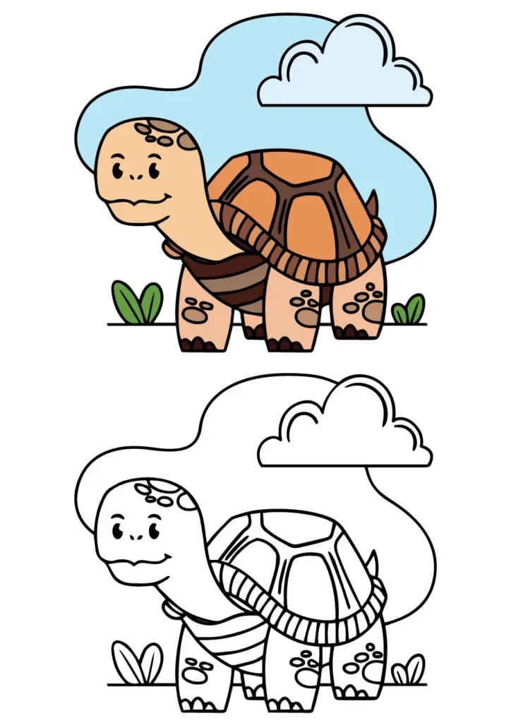 Slow and Steady Journey of A Turtle.